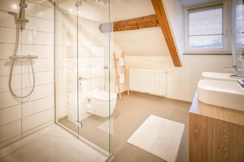 a bathroom with a shower and a toilet and a sink at Hotel Hoeve de Plei in Mechelen