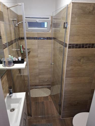 a shower with a glass door in a bathroom at Rooms Bobic in Ličko Petrovo Selo