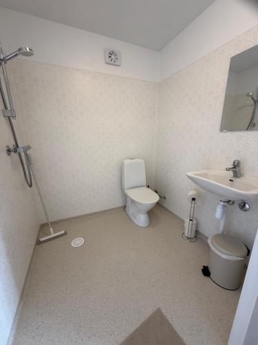 a bathroom with a toilet and a sink at Stationshuset i Immeln in Immeln