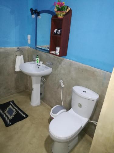 a bathroom with a white toilet and a sink at The Nature Park Villa in Sigiriya