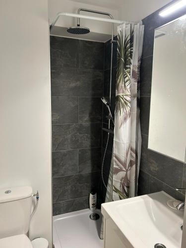 Bright apartment, 5-minute walk to Hyères beach