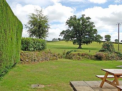 a picnic table in a field with a tree at Pencarrow - B6521 in Saint Cleer