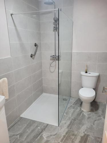 a bathroom with a toilet and a glass shower at Farm Cottage in Athy