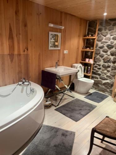 a bathroom with a tub and a sink and a toilet at Ferme de Chaudeyrac in Saint-Front