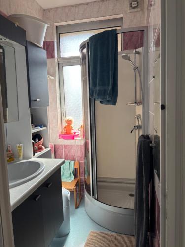 a bathroom with a shower and a sink at La briqueterie in Bourseville