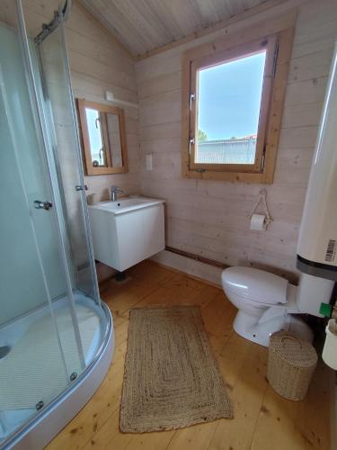 a bathroom with a toilet and a sink and a shower at Le chalet d'Agathe in Largentière