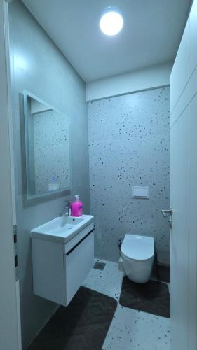 a bathroom with a white sink and a toilet at Pines Apartment in Kosovo Polje