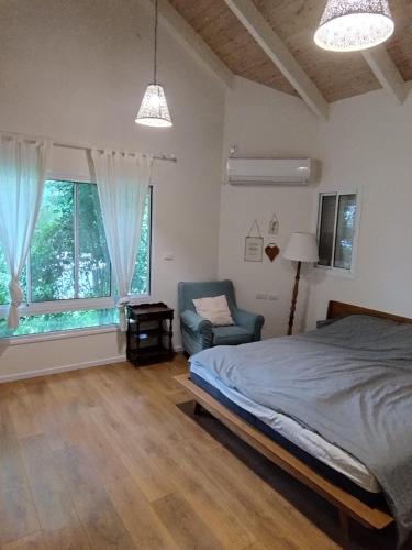 a bedroom with a bed and a chair and a window at SnirBen zvi in Kibbutz Snir