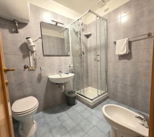 a bathroom with a toilet and a shower and a sink at La Pinetina in San Massimo