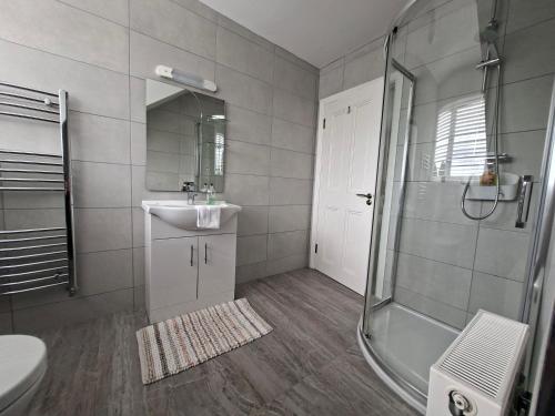 a bathroom with a shower and a sink and a mirror at White Quarry Hse Quarry Road in Navan