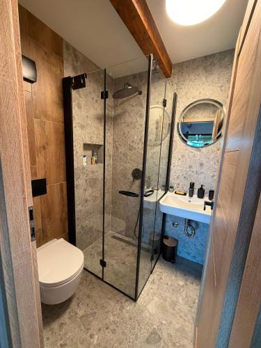 a bathroom with a shower and a toilet and a sink at Chalet Le Klet in Krapinske Toplice