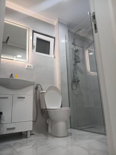 a bathroom with a shower and a toilet and a sink at Villa Balic Sarajevo in Sarajevo