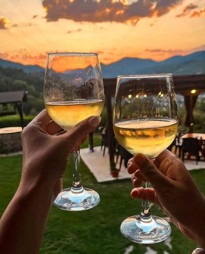 two people holding up glasses of white wine at Хотел Кючуковата Къща in Banite