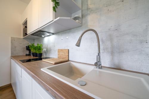a kitchen with a large white sink in a kitchen at Czarna Owca in Biały Dunajec