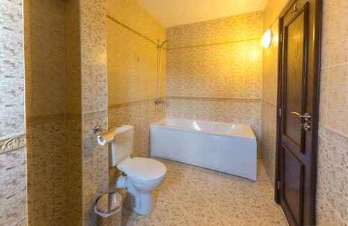 a bathroom with a toilet and a bath tub at Complex Rayuvski Han in Rayuvtsi