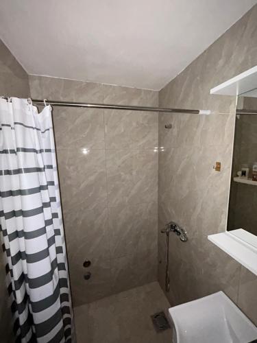 a bathroom with a shower and a toilet and a sink at Cottage near Ostrog in Gornja Povija