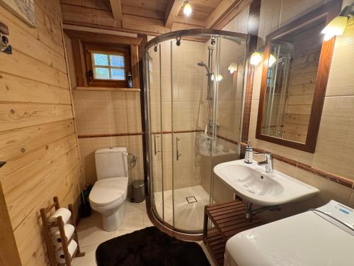 a bathroom with a shower and a toilet and a sink at Klimatyczny domek z drewna nad morzem in Debina