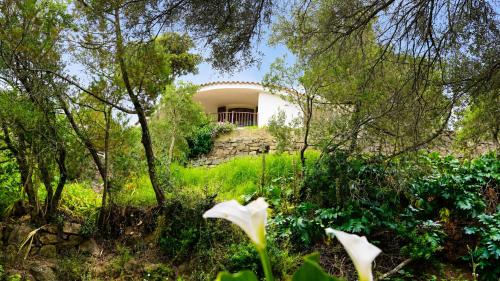 a house in the woods with flowers in the foreground at Catalina, ritorno al '70 tra mare e natura in Cannigione