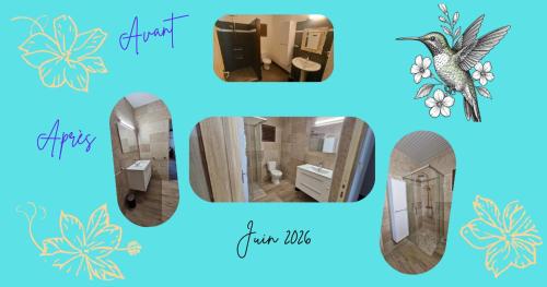 a collage of four pictures of a house at Lodge Ti Bonheur in Sainte-Anne