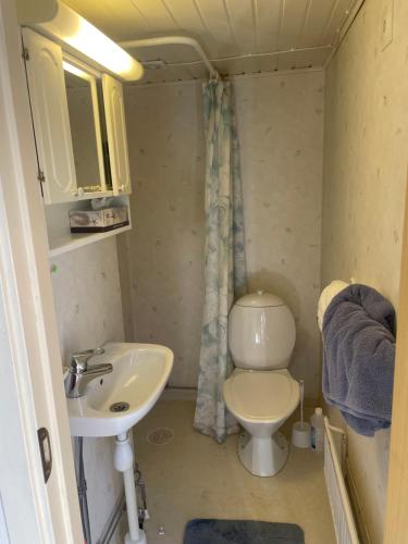 a small bathroom with a toilet and a sink at Röda huset in Åhus