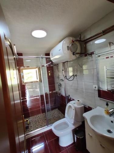 a bathroom with a shower and a toilet and a sink at Guest House Trojani in Lëpushë