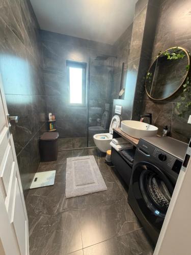 a bathroom with a toilet and a sink and a washing machine at L&D Apartments in Urseni