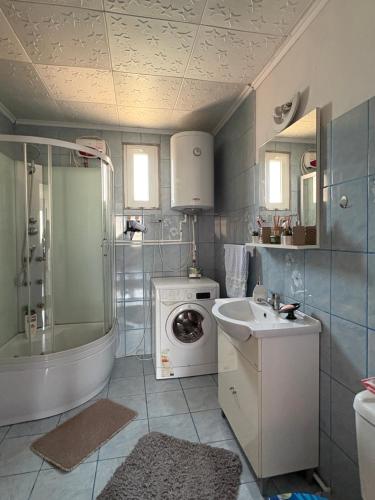 a bathroom with a sink and a washing machine at Casa Iulia in Eşelniţa