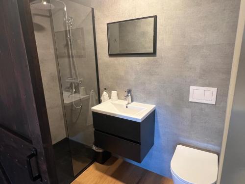 ein Badezimmer mit Waschbecken und Dusche in der Unterkunft De Brummelstee in Beilen