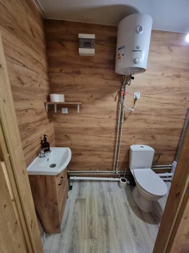 a bathroom with a toilet and a sink at MAZI HOUSE Jastarnia in Jastarnia