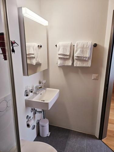 a bathroom with a sink and a mirror and towels at Hotel Alpenstadt in Chur