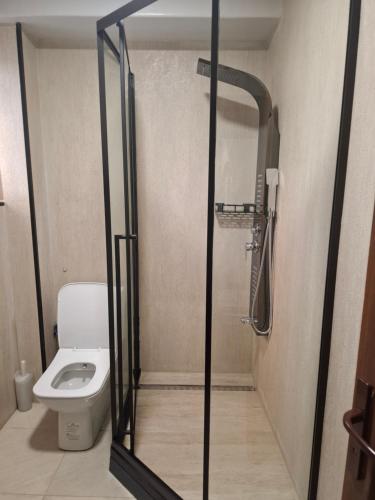 a shower stall with a toilet in a bathroom at Nesi apartmenti in Prishtinë