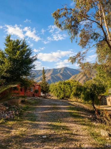 a dirt road with trees and mountains in the background at Cabañas tilcara sarahuayco in Tilcara