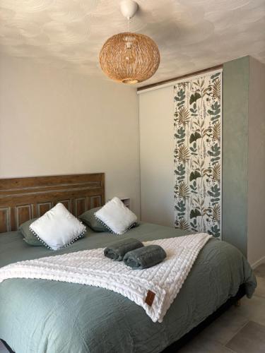 a bedroom with a bed and a chandelier at Les Gîtes W''elles''come in Cotignac