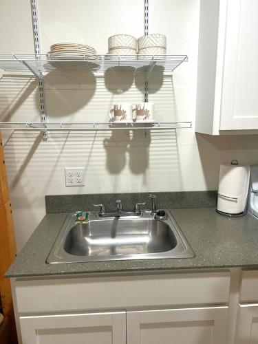 a kitchen counter with a sink in a kitchen at Pond Studio Apartments in Seward