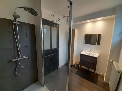 a bathroom with a shower and a sink at loft with a garage feel in Périers