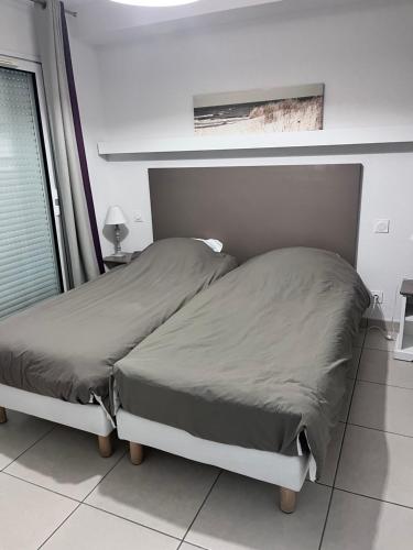 a bedroom with two beds and a window at Agapanthe in Remoulins