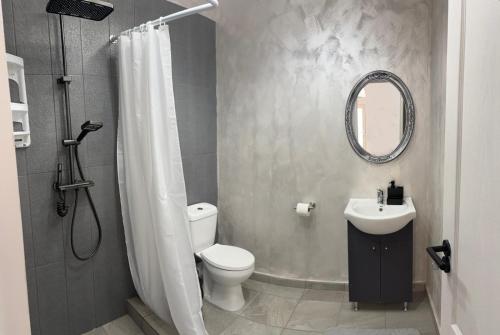 a bathroom with a toilet and a sink and a mirror at Casa Happy in 2 Mai