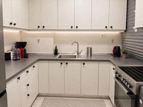 Stylish 1BR Apartment in City Center, Buka Hospitality