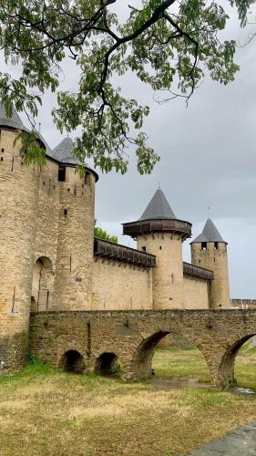 Cozy and bright Azur studio in Carcassonne