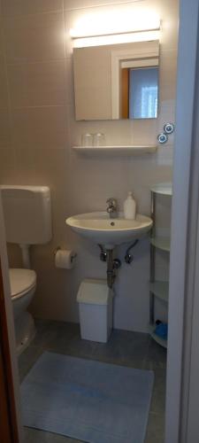 a bathroom with a sink and a toilet at Slavica Bunić, Apartments in Supetarska Draga