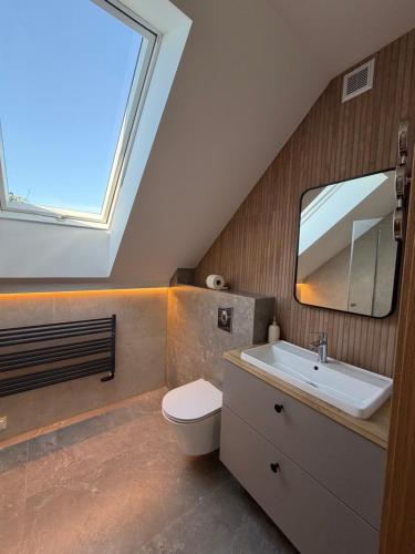 a bathroom with a toilet and a sink and a window at Biała Stodoła in Płoskie
