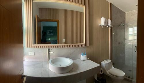 un baño con inodoro, lavabo y espejo en Hotel MAC7, en Aguascalientes