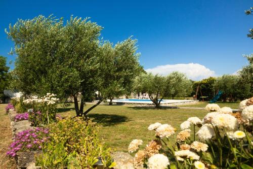 a garden with flowers and trees and a swimming pool at My Dalmatia - Villa Mandorla with private pool and Jacuzzi in Zadar