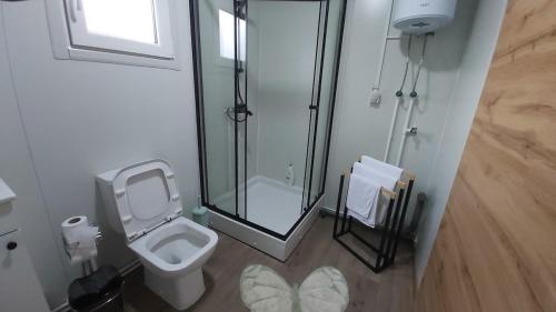 a small bathroom with a toilet and a shower at Resort-Music Mostar in Potoci