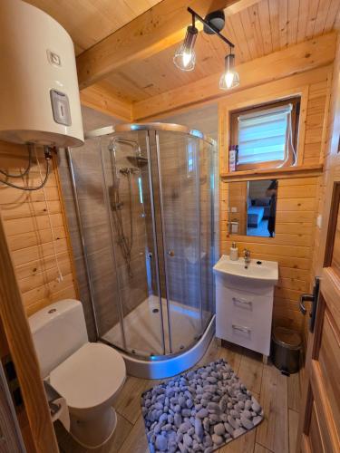 a bathroom with a shower and a toilet and a sink at Łąkowe Zacisze - Kozin in Bogaczewo