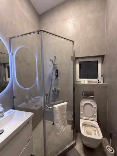 a bathroom with a shower and a toilet and a sink at Ala-Archa Mountain House in Vorontsovskoye