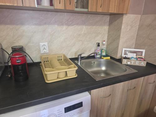 a kitchen counter with a sink and a dishwasher at Apartments Dani in Pomorie
