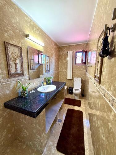 a bathroom with a sink and a toilet at Casa Cristian Techirghiol in Techirghiol