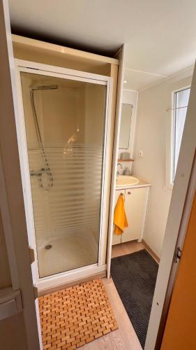 a bathroom with a shower with a glass door at Les 3oliviers in Santa-Maria-Siché