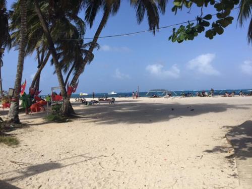 a beach with palm trees and people on it at Casa Arena San Andres in San Andrés